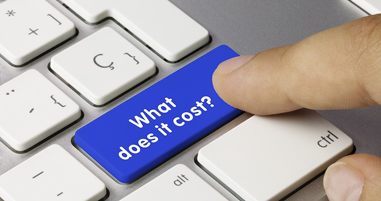 seo cost