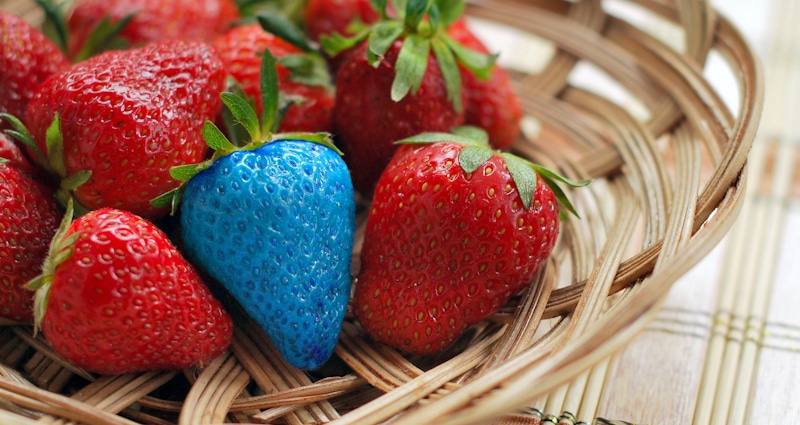 strawberries bowl with blue strawberry